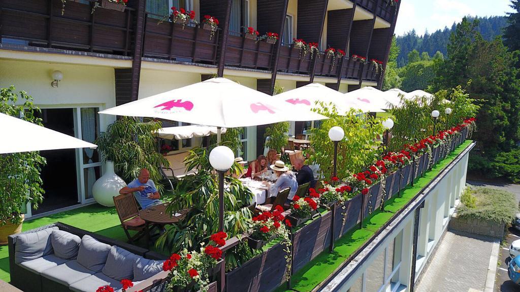Wellness Hotel Green Paradise Brezova  Экстерьер фото